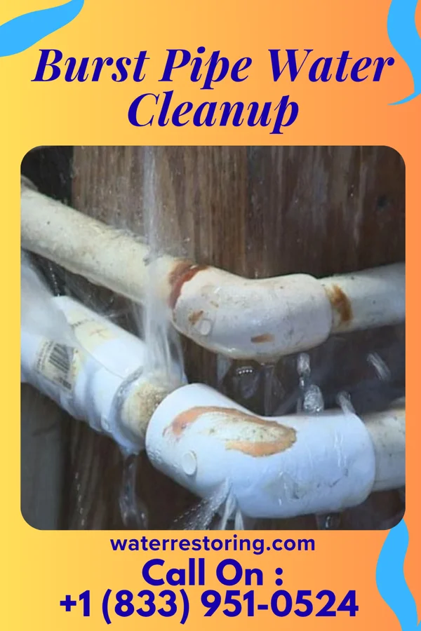 Burst Pipe Water Cleanup in Sarles, ND