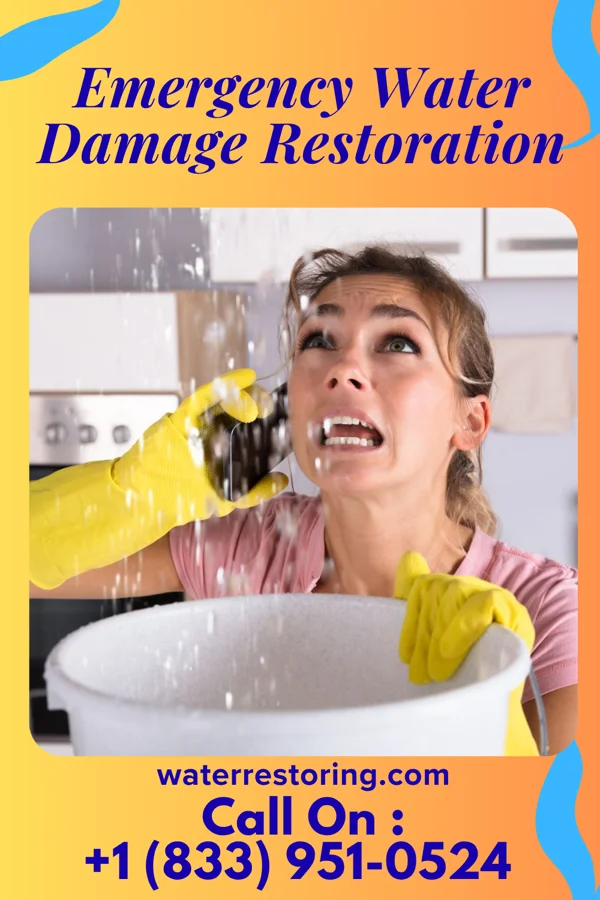 Emergency Water Damage Restoration in Sarles, ND